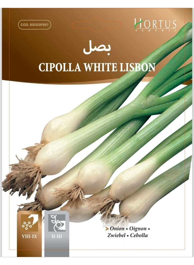 Lisbon White Onion Seeds